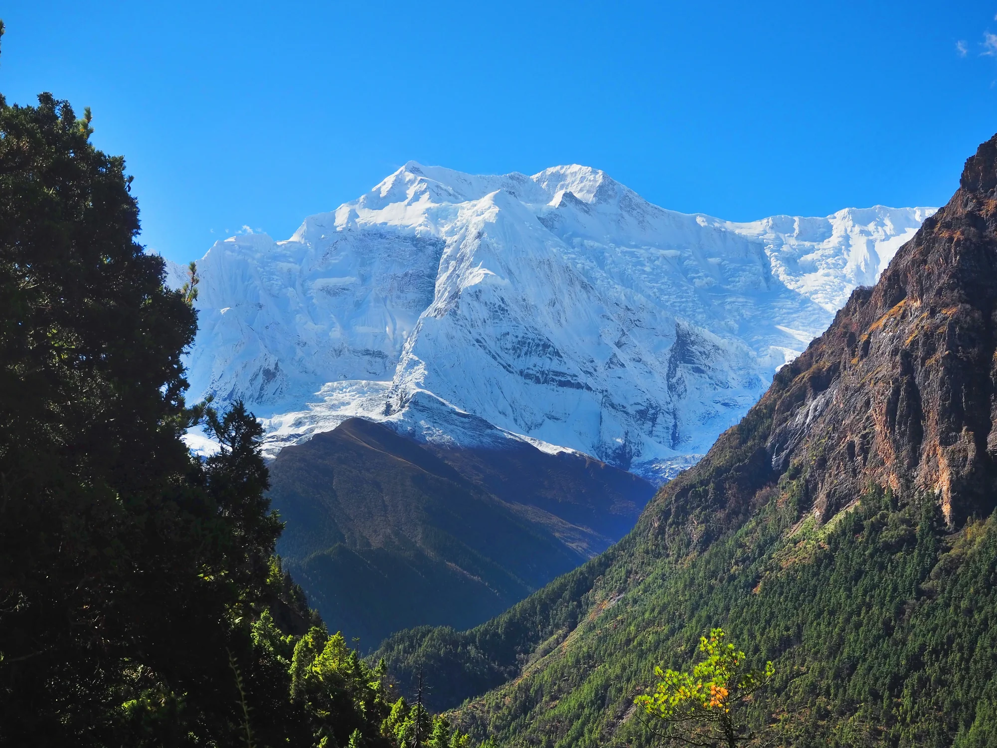 Peaks Beyond Word