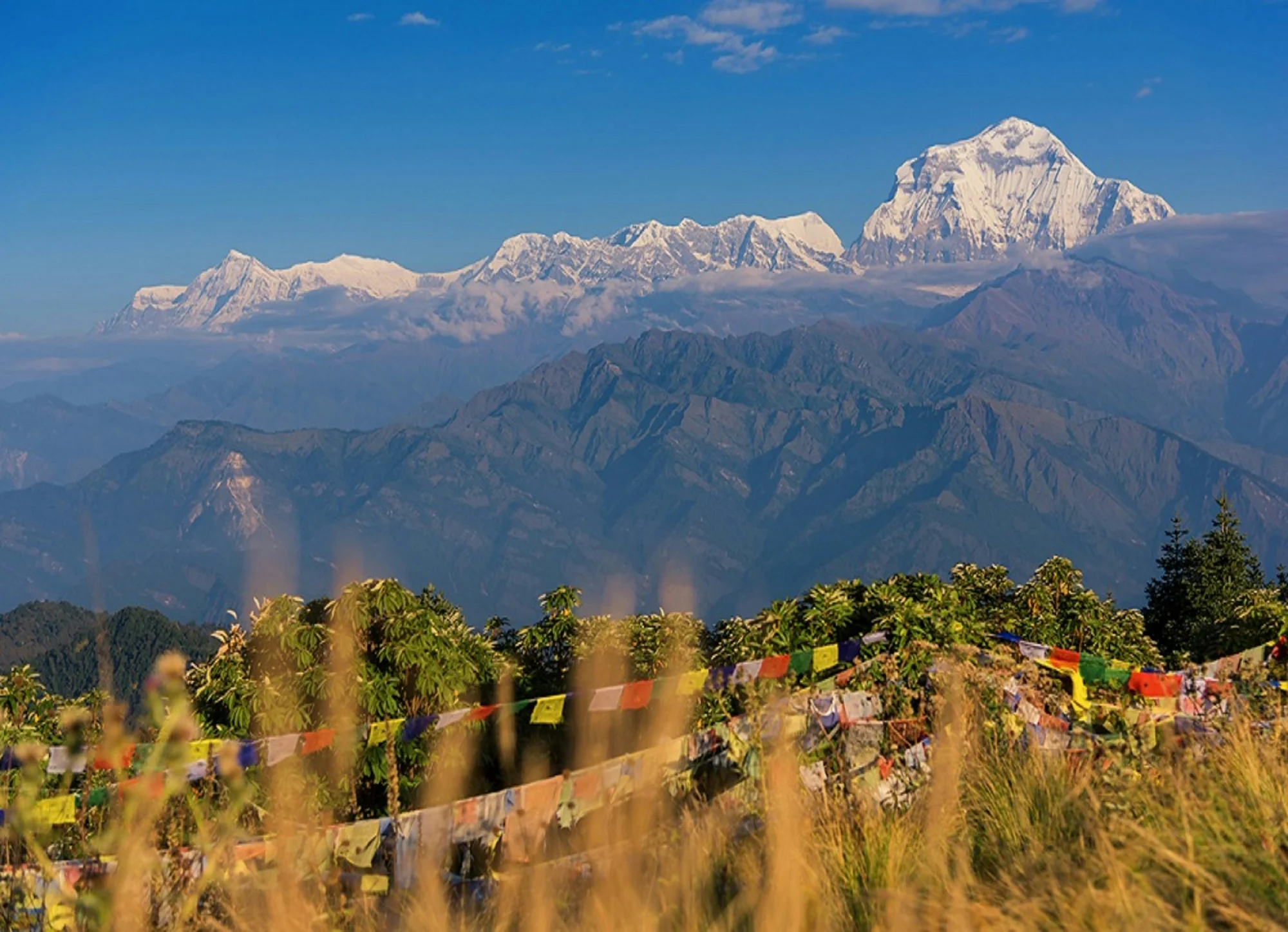 Ghorepani Poon Hill Trek